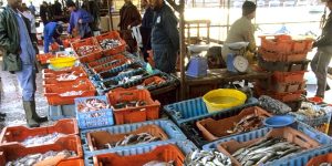 التهريب يحرم المواطن من الاستفادة من الموارد البحرية