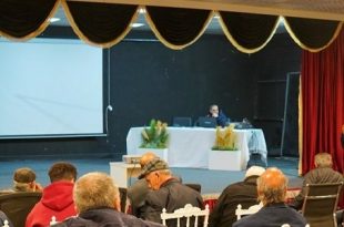 بشير فهمي: «دبلوماسية الأوتار» وصراع الهوية بين ضفتي الإبداع