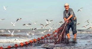 نشرة الصيد البحري المتوقعة على ساحل ليبيا اليوم