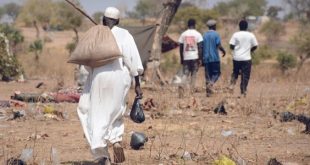 الأمم المتحدة: أكثر من 6,000 مدني يُقتلون خلال ثلاثة أيام في الفاشر بالسودان