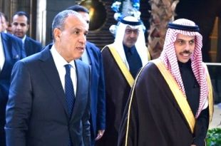 مصر والسعودية تؤكدان أهمية احتواء التوتر وتعزيز الاستقرار في المنطقة