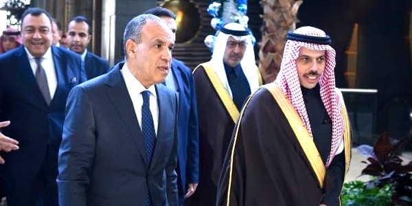 مصر والسعودية تؤكدان أهمية احتواء التوتر وتعزيز الاستقرار في المنطقة