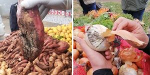 رخص الثمن يدفع المطاعم لاختيار الرديء من الخضروات والفواكه