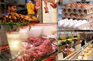 اللحوم والبيض يزيدان من معاناة المواطنين قبيل رمضان