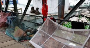 دراسة تكشف سر مقاومة بعوض الملاريا للمبيدات الحشرية