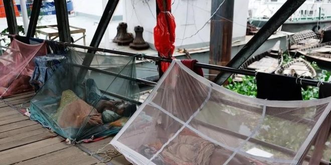 دراسة تكشف سر مقاومة بعوض الملاريا للمبيدات الحشرية