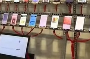 ظهور "مزارع رقمية" تحقق آلاف الدولارات شهريًا