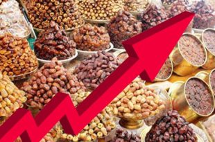 سوق التمور يشهد حراكا كبيرا في رمضان