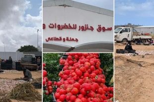 كيلو الطماطم ب"13" دينار.. و"الشرمولة" رفاهية