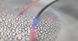 دراسة يابانية تكشف تحديات الاستنساخ المتكرر لدى الثدييات