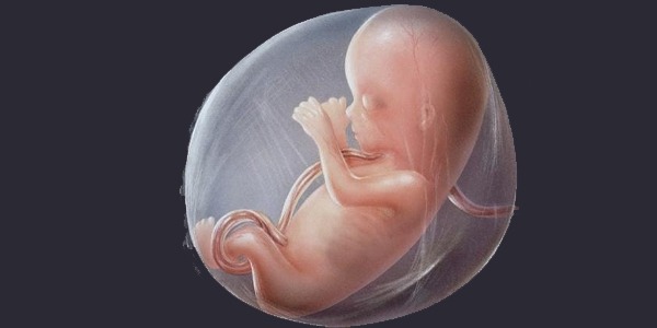 لأول مرة.. علاج الخلايا الجذعية يعكس تشوهات الدماغ عند الأجنة المصابين بالسنسنة المشقوقة