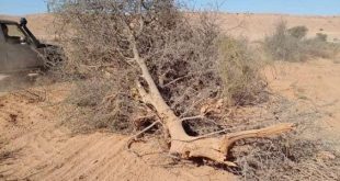 متخصص يحذر من تفاقم الجفاف وتزايد الضغط المائي في ليبيا