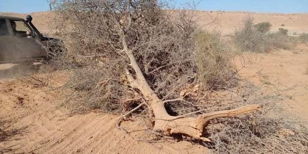 متخصص يحذر من تفاقم الجفاف وتزايد الضغط المائي في ليبيا