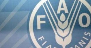 ارتفاع أسعار الغذاء العالمية خلال فبراير 2026 