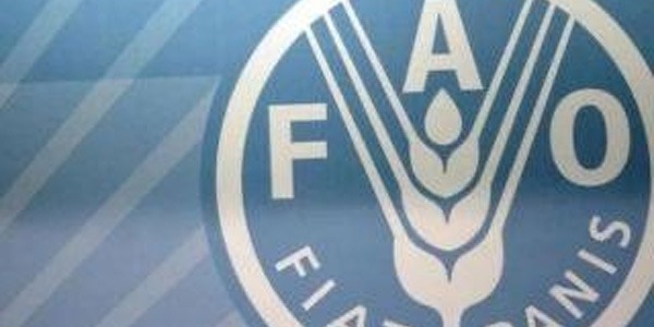 ارتفاع أسعار الغذاء العالمية خلال فبراير 2026 