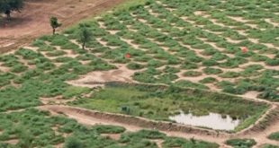 الحفر الهلالية .. هل تكسر التجربة الأفريقية حصار الجفاف في الأراضي الليبية؟