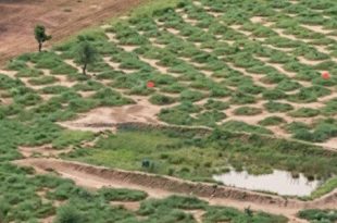 الحفر الهلالية .. هل تكسر التجربة الأفريقية حصار الجفاف في الأراضي الليبية؟