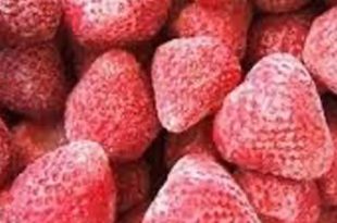 تحذير اوروبي بشأن متبقيات مبيدات في شحنة فراولة مصرية مجمدة