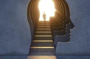 دراسة تؤكد أن ترابط شبكات الدماغ هو سرّ الذكاء البشري