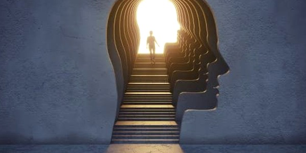 دراسة تؤكد أن ترابط شبكات الدماغ هو سرّ الذكاء البشري