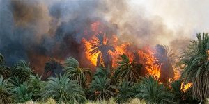 رماد الواحات.. تآمر رياح القبلي مع سماسرة العقارات  