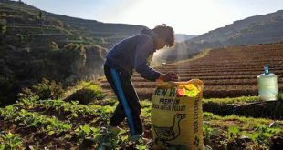 منظمة الفاو : تعافي سوق الأسمدة سيستغرق أشهراً لا أياماً