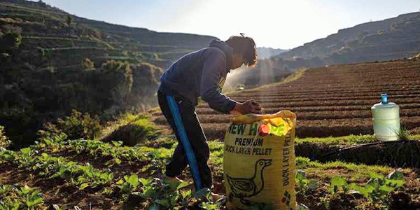 منظمة الفاو : تعافي سوق الأسمدة سيستغرق أشهراً لا أياماً