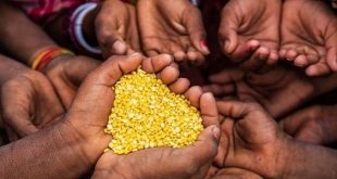 غيانا الدولة الوحيدة في العالم تحقق اكتفاءً غذائياً كاملاً وفق دراسة دولية