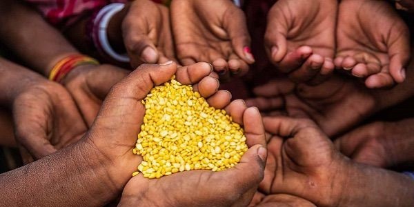 غيانا الدولة الوحيدة في العالم تحقق اكتفاءً غذائياً كاملاً وفق دراسة دولية