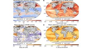 دراسة: موجات الحر البحرية تعزز قوة الأعاصير وتضاعف خسائرها الاقتصادية