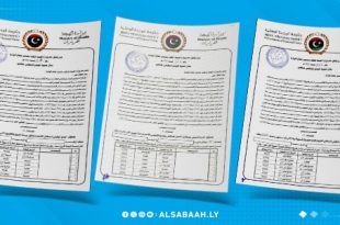 قرارات لتسوية أوضاع العاملين بقطاع الصحة