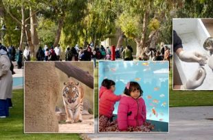 حديقة الحيوان بطرابلس تكرس حضورها مؤسسة ترفيهية وتعليمية
