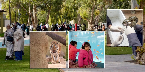 حديقة الحيوان بطرابلس تكرس حضورها مؤسسة ترفيهية وتعليمية