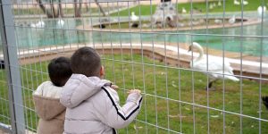 الحديقة نجحت في الحفاظ على بعض السلالات المحلية من الانقراض