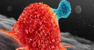 أدوية روسية "لنزع سلاح" الخلايا السرطانية