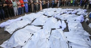 في اليوم العالمي للصحة .. أرقام صادمة عن الوضع الصحي في غزة