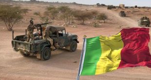 الاتحاد الإفريقي يدين هجمات مالي ويؤكد تضامنه مع الشعب والسلطات