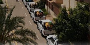 وزارة الزراعة تطلق المرحلة الأولى من حملة مكافحة الآفات الزراعية