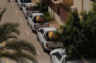 وزارة الزراعة تطلق المرحلة الأولى من حملة مكافحة الآفات الزراعية