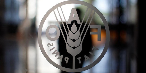 موجات الحر تضع الأمن الغذائي العالمي على حافة الخطر