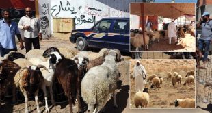 هل تقتل الأسعار المرتفعة فرحة عيد الأضحى ؟