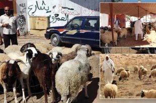 هل تقتل الأسعار المرتفعة فرحة عيد الأضحى ؟