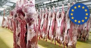 حظر أوروبي على اللحوم البرازيلية