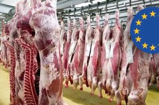 حظر أوروبي على اللحوم البرازيلية