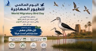الاحتفاء باليوم العالمي للطيور المهاجرة وحماية مساراتها