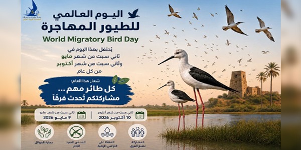 الاحتفاء باليوم العالمي للطيور المهاجرة وحماية مساراتها