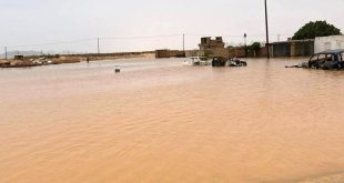بعد السيول.. جهود متواصلة لإعادة الخدمات ودعم المتضررين في غات وتهالة