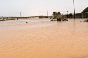 بعد السيول.. جهود متواصلة لإعادة الخدمات ودعم المتضررين في غات وتهالة
