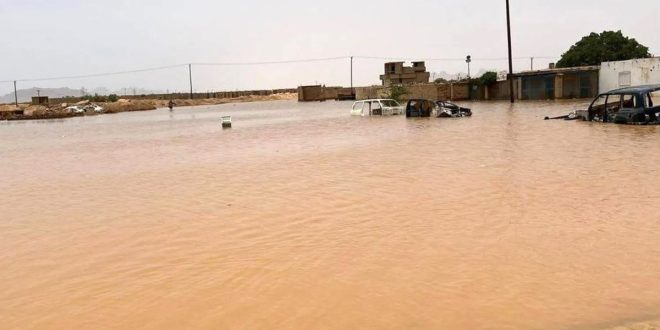 بعد السيول.. جهود متواصلة لإعادة الخدمات ودعم المتضررين في غات وتهالة