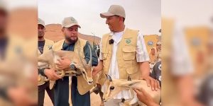 إطلاق حيوانات برية نادرة بمنطقة سد الوشكة في سوكنة